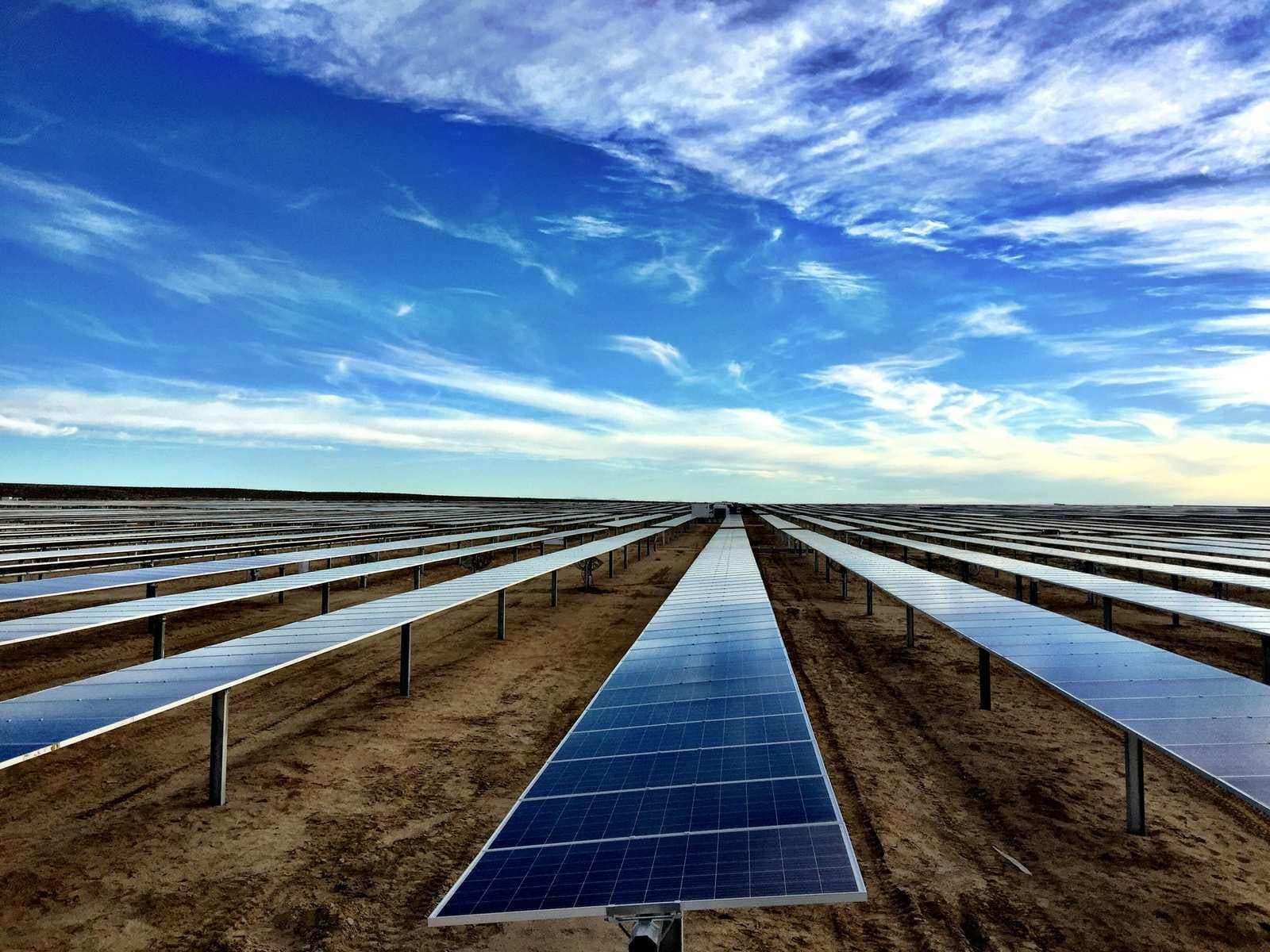 Rows of photovoltaic panels at a large utility-scale solar farm