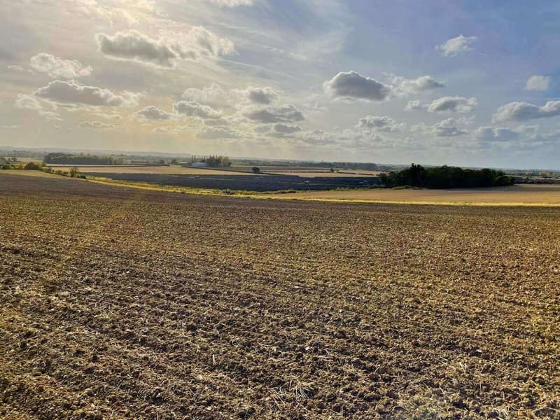 Solar panels in a field with farmland stretching to the horizon